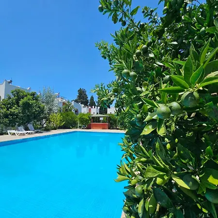 Abay Derbent With A Pool Near Marina And The Turgutreis